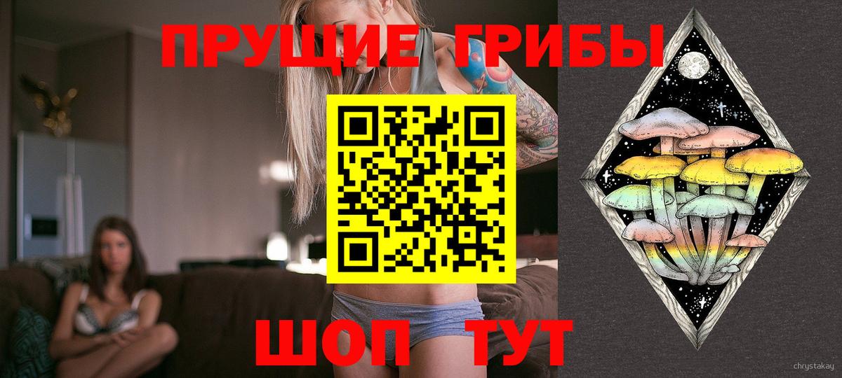 Галлюциногенные грибы мицелий  Вход с VPN  что такое наркотик  Приморско-Ахтарск 